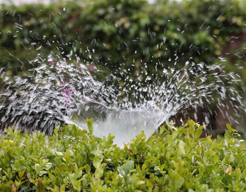 Irrigation System Services Jacksonville, Florida