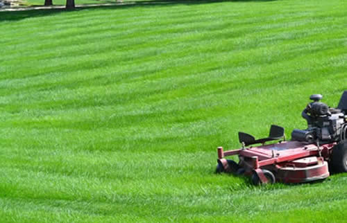 Lawn Mowing and Yard Maintenance Jacksonville, Florida